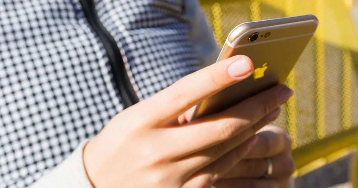 Checking a phone for the Interac e-transfer from a quick payday loan